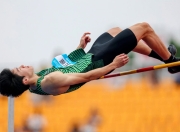 开云平台-男子跳高惊艳表现，突破精彩绝伦的简单介绍