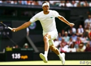 开云APP-温网翻盘法网，兹维列夫惊艳四座的简单介绍