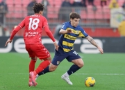 开云体育官网-关于帕尔马主场惨败，面临保级压力增大的信息