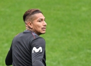 开云体育官方网站-包含库尔索球迷热情庆祝，呐喊声响彻全场的词条