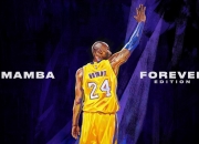 开云足球直播-北欧孤星与全球联军的对决，鲁德年终总决赛险胜拉沃尔杯背后的战术革命