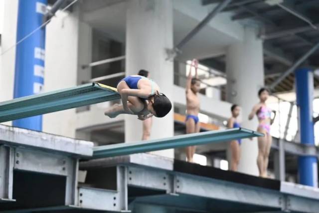 跳水精彩表演展现，舞动神话