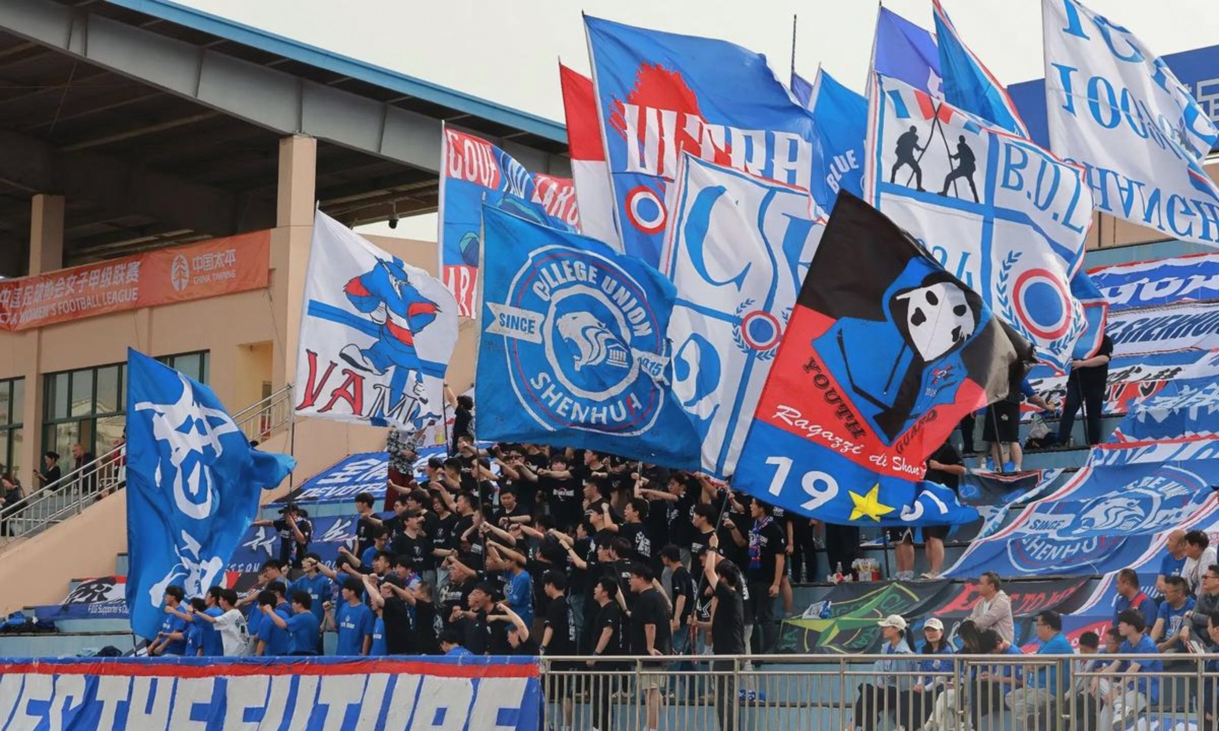 申花主场失利,球迷情绪低迷的简单介绍 申花主场失利,球迷情绪低迷的简单介绍