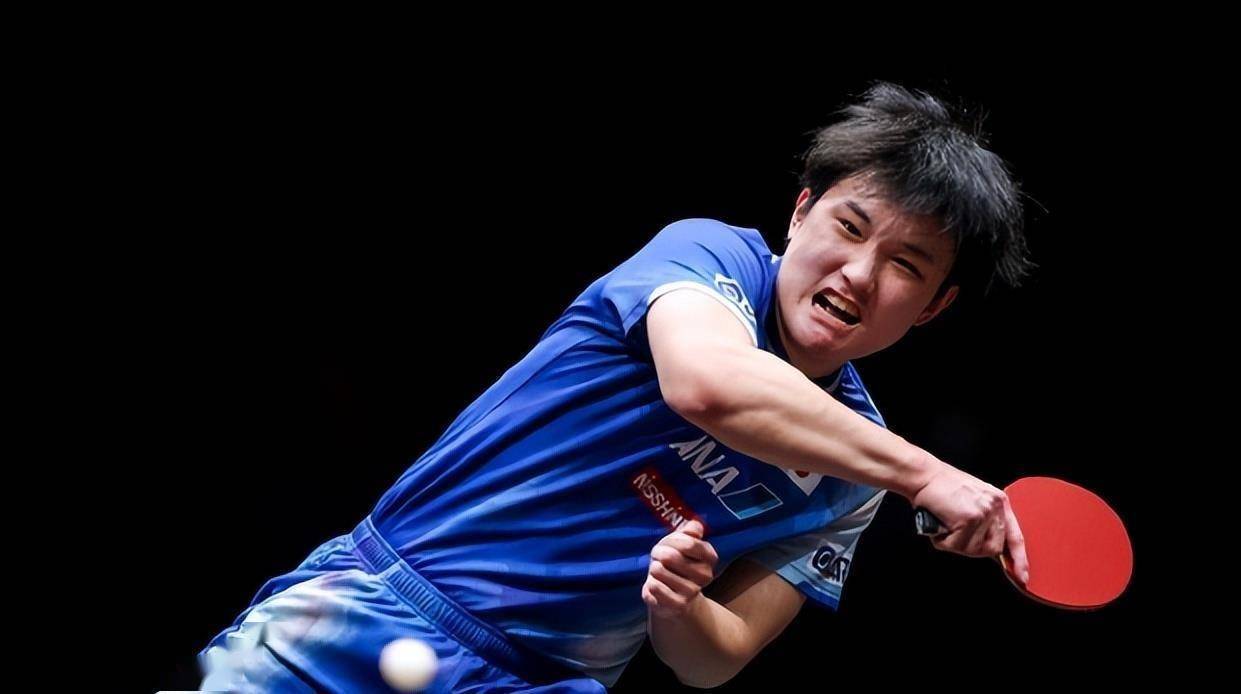 包含瑞典队鏖战波兰队,张本智和点燃赛场的词条 包含瑞典队鏖战波兰队,张本智和点燃赛场的词条