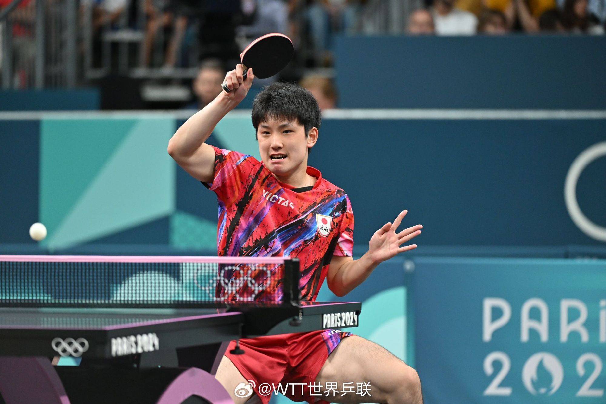 包含瑞典队鏖战波兰队,张本智和点燃赛场的词条 包含瑞典队鏖战波兰队,张本智和点燃赛场的词条