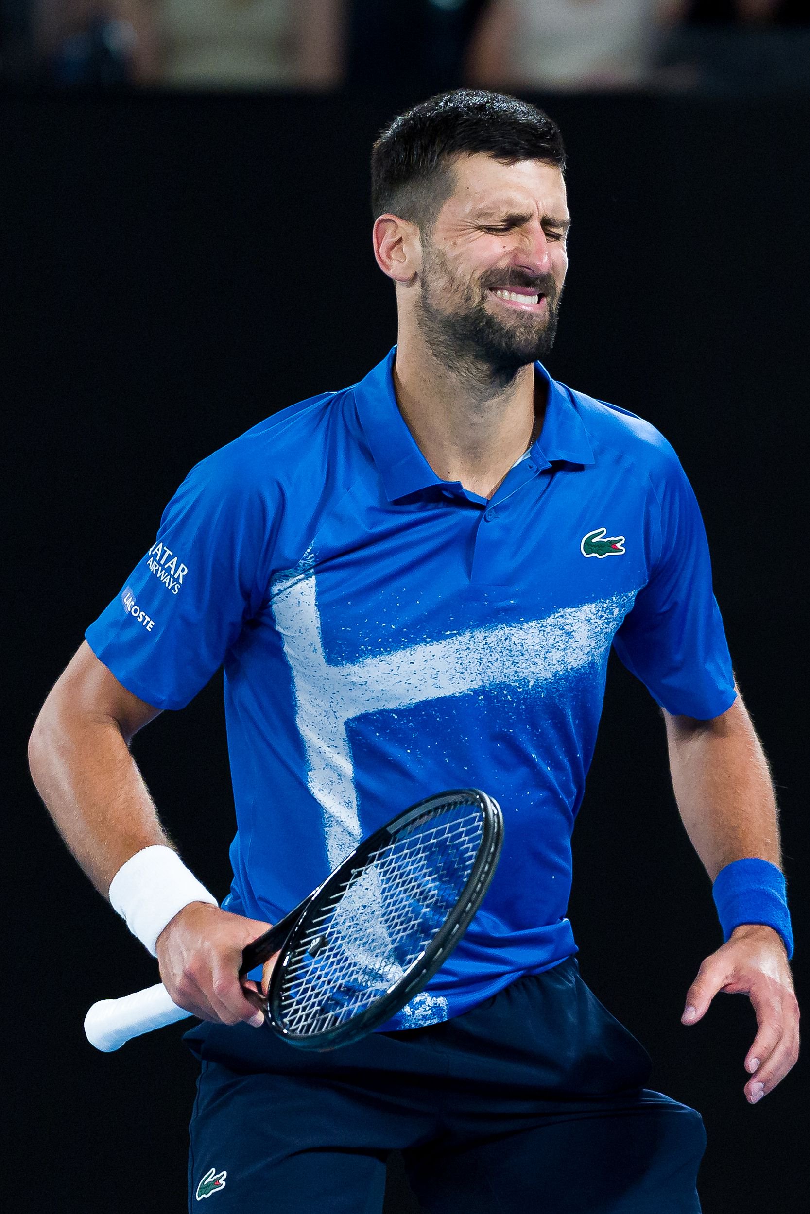 戴维斯杯鏖战澳网，德约科维奇统治全场的简单介绍