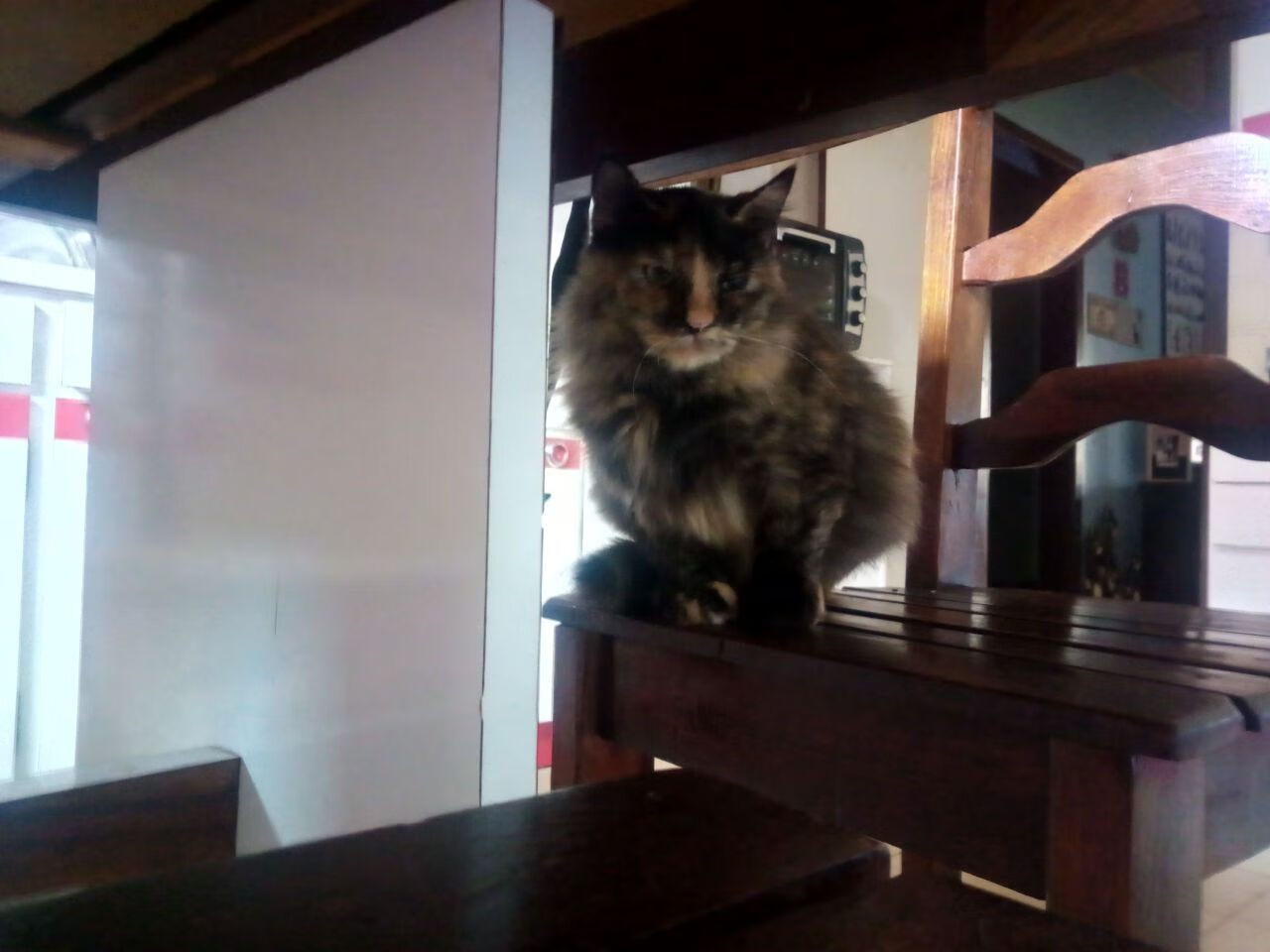 坎特织就无形之网，比利时险胜尼日利亚背后的完美方程式