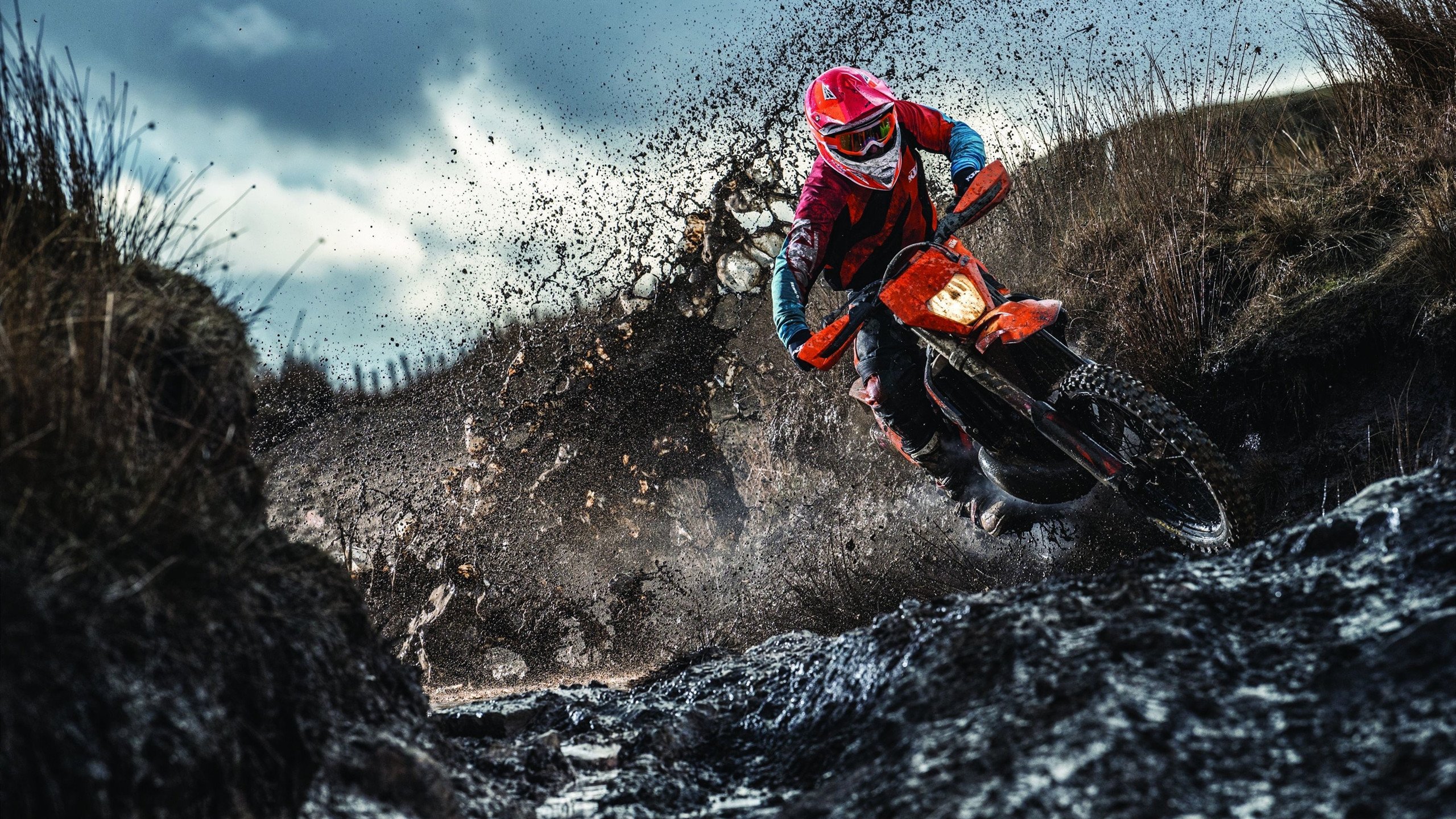 布克存在感拉满，新疆队强势晋级猛龙